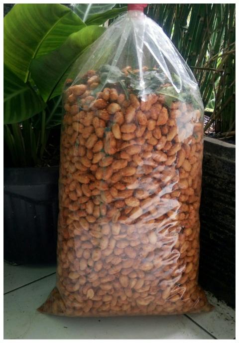 Rahasia Dibalik Kenikmatan Kacang Bangkok